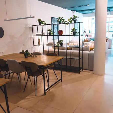 Coliving Moderno Com Lindo Jardim * 포르투