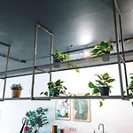 Coliving Moderno Com Lindo Jardim Hostel Porto