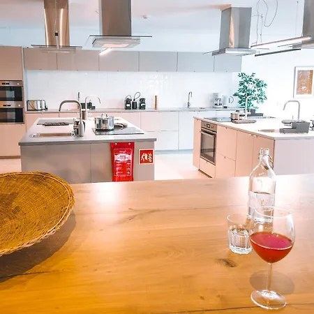 Coliving Moderno Com Lindo Jardim *