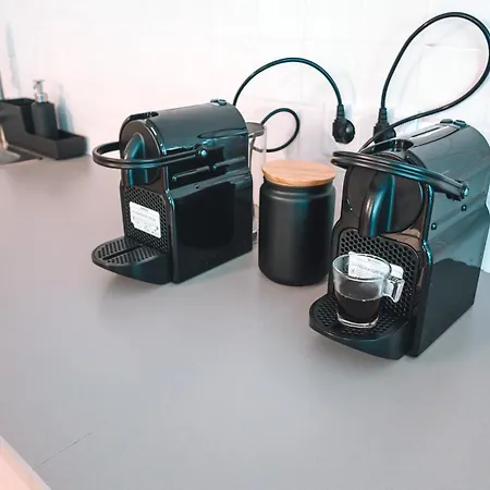 Albergue Coliving Moderno Com Lindo Jardim Porto