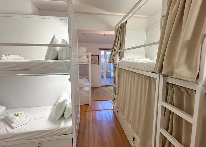 ホステル Coliving Moderno Com Lindo Jardim