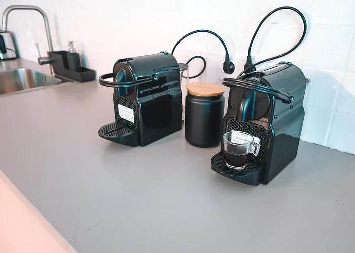 ホステル Coliving Moderno Com Lindo Jardim ポルト