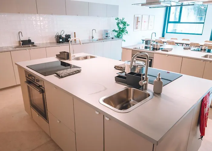 Coliving Moderno Com Lindo Jardim ポルト