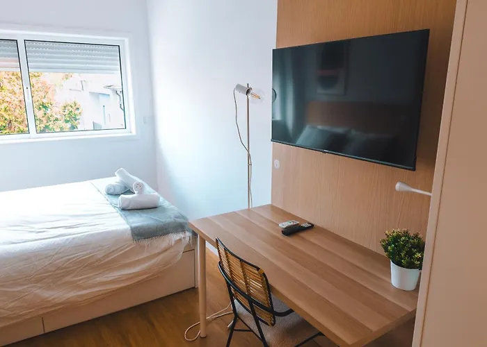 Coliving Moderno Com Lindo Jardim *