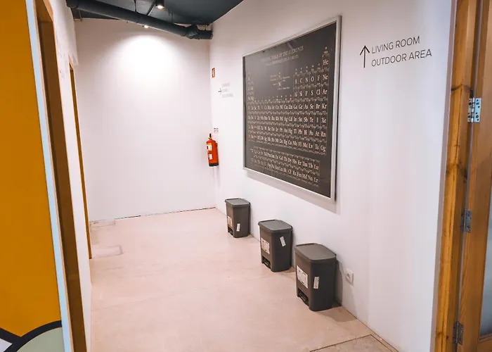 Coliving Moderno Com Lindo Jardim ホステル