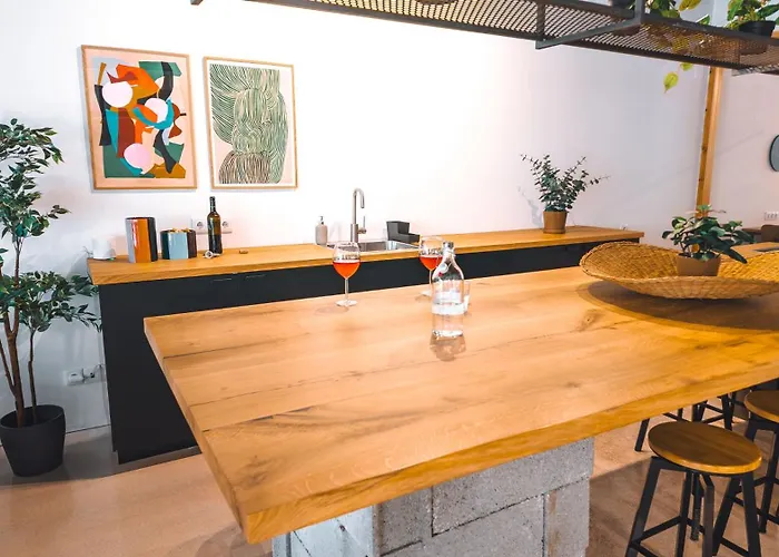 Coliving Moderno Com Lindo Jardim * ポルト