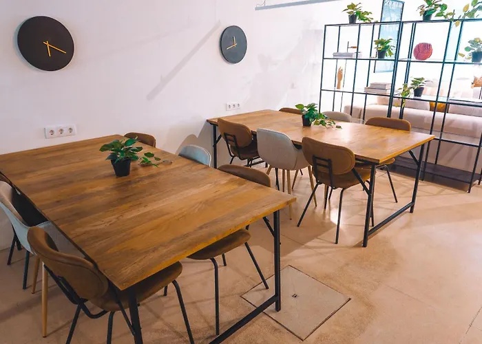 Coliving Moderno Com Lindo Jardim * ポルト
