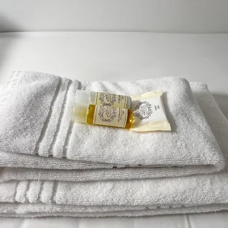 Coliving Moderno Com Lindo Jardim Hostel