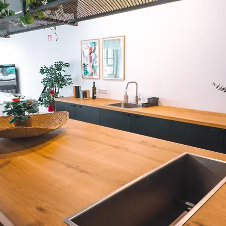 旅馆 Coliving Moderno Com Lindo Jardim 波尔图