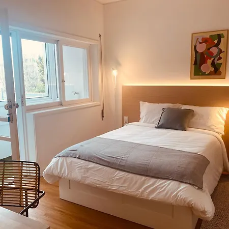 Coliving Moderno Com Lindo Jardim * 波尔图