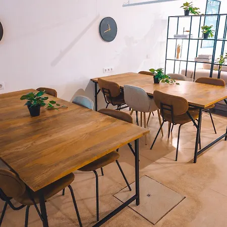 Coliving Moderno Com Lindo Jardim * Porto
