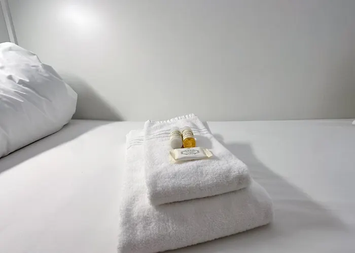 Coliving Moderno Com Lindo Jardim Porto