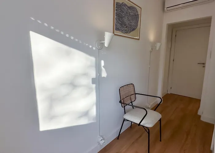 Coliving Moderno Com Lindo Jardim *