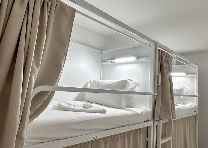 Coliving Moderno Com Lindo Jardim *