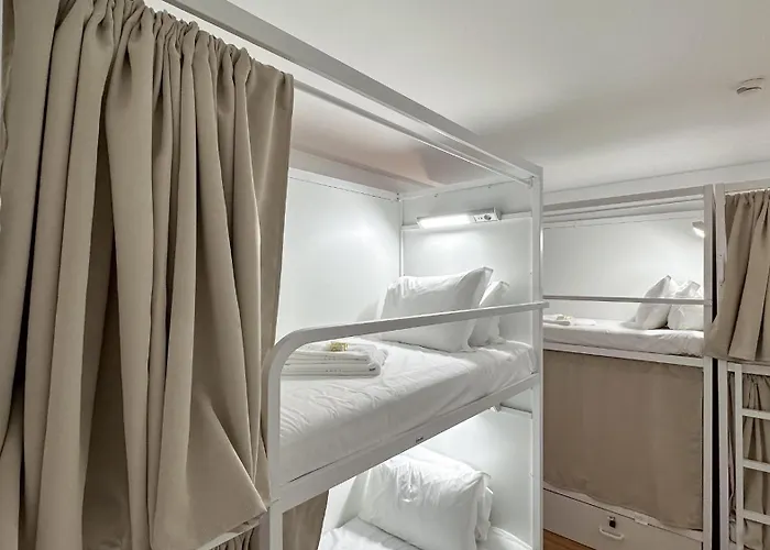 Coliving Moderno Com Lindo Jardim Hostel