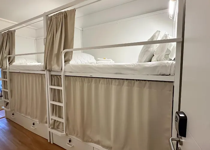 Coliving Moderno Com Lindo Jardim