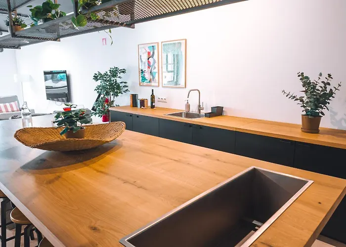 Vandrerhjem Coliving Moderno Com Lindo Jardim Porto