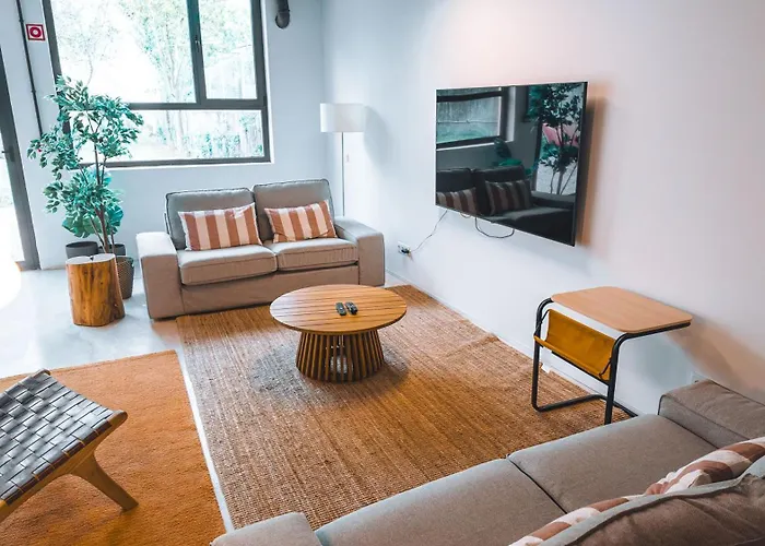 Hostel Coliving Moderno Com Lindo Jardim