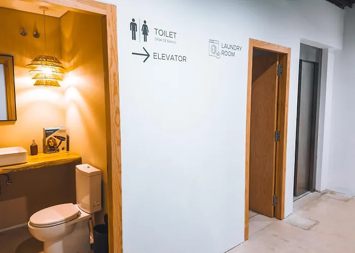 Coliving Moderno Com Lindo Jardim Hostel