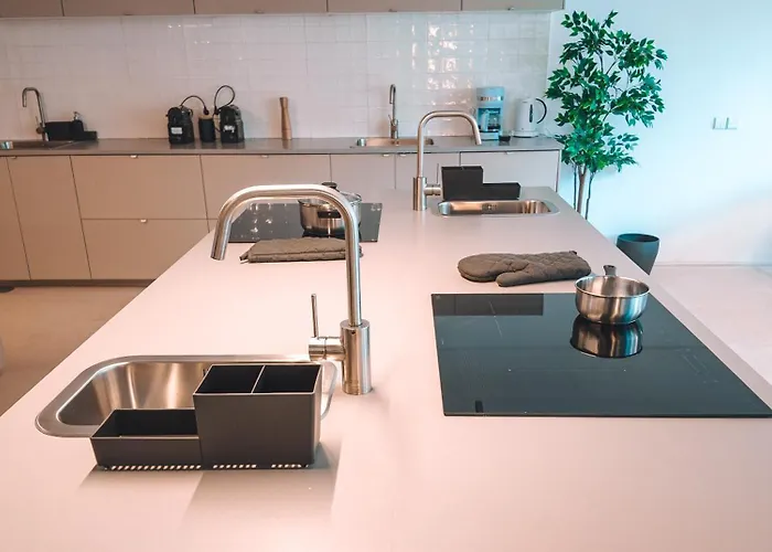 Hostel Coliving Moderno Com Lindo Jardim