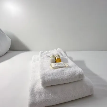 Coliving Moderno Com Lindo Jardim Porto