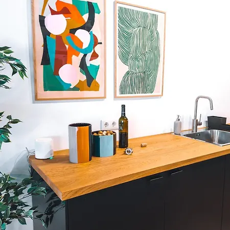 Coliving Moderno Com Lindo Jardim Porto