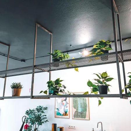 Coliving Moderno Com Lindo Jardim Hostel Porto