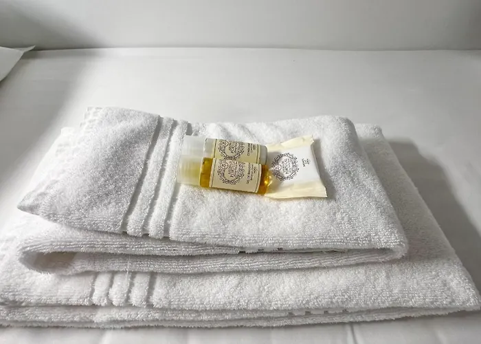 Coliving Moderno Com Lindo Jardim 호스텔