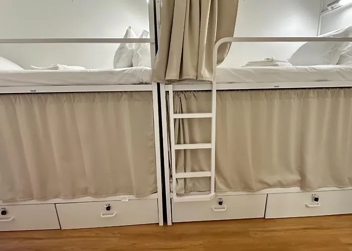 Coliving Moderno Com Lindo Jardim 포르투