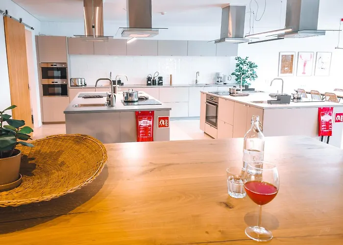 Coliving Moderno Com Lindo Jardim *