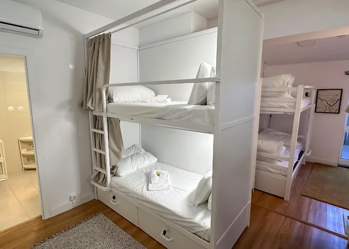 Coliving Moderno Com Lindo Jardim بيت شباب