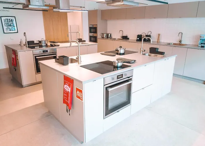 Coliving Moderno Com Lindo Jardim *