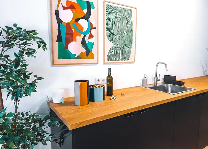 Coliving Moderno Com Lindo Jardim بورتو