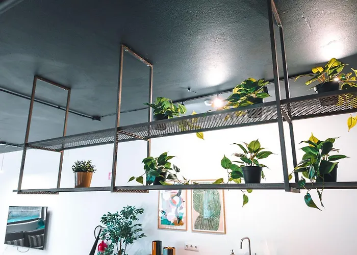 Coliving Moderno Com Lindo Jardim بيت شباب بورتو
